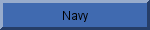 U.S. Navy Official Website